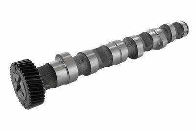 Sadales vārpsta VAICO V10-0868