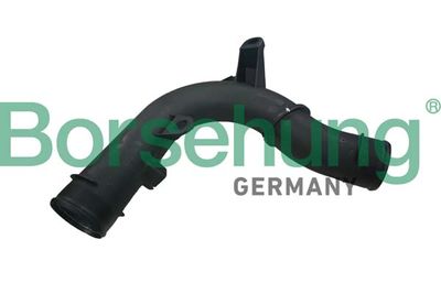 Трубка нагнетаемого воздуха BORSEHUNG B12351