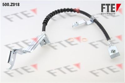 Тормозной шланг FTE 9240351