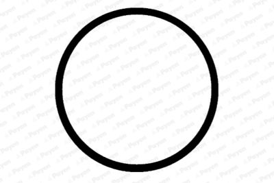 Прокладка, впускной коллектор PAYEN JD5412