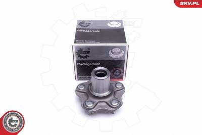 Комплект подшипника ступицы колеса ESEN SKV 29SKV355