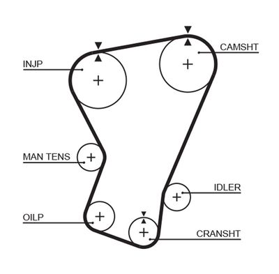 Зубчатый ремень GATES 5065