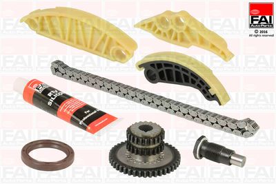 Mootori keti komplekt FAI AUTOPARTS TCK175