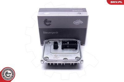 Устройство управления, освещение ESEN SKV 59SKV169
