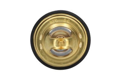 Termostats, Dzesēšanas šķidrums KAVO PARTS TH-9008