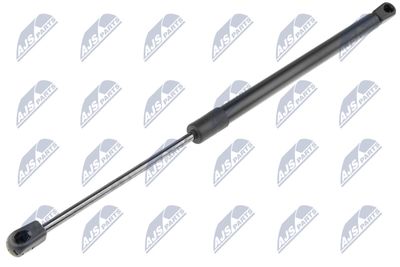 Gāzes atspere, Motora pārsegs NTY AE-HY-043