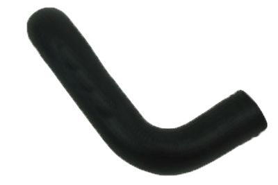 Pūtes sistēmas gaisa caurule BUGIAD 81977