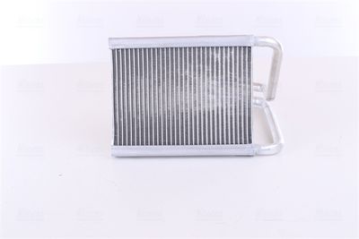 Siltummainis, Salona apsilde NISSENS 77642