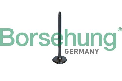 Выпускной клапан Borsehung B10326