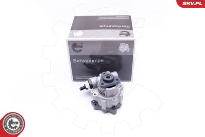 Hidrosūknis, Stūres iekārta ESEN SKV 10SKV242