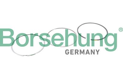 Комплект поршневых колец BORSEHUNG B10364