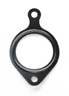 Прокладка, корпус впускного коллектора ELRING 422.920