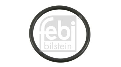 Blīvgredzens, Grozāmass FEBI BILSTEIN 02174