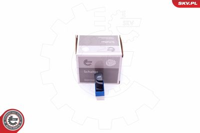 Выключатель, стеклолодъемник ESEN SKV 37SKV378