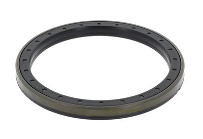 Уплотняющее кольцо, ступица колеса CORTECO 12019619B