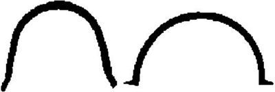 Blīve, Eļļas vācele CORTECO 023677H