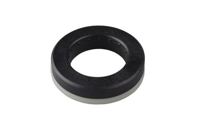 Ritgultnis, Amortizatora statnes balsts TEDGUM TED22364