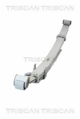 Lāgu atsperes lokšņu komplekts TRISCAN 876 513 027