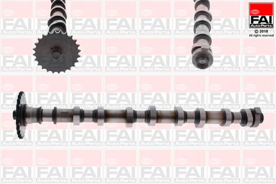 Распредвал FAI AUTOPARTS C386