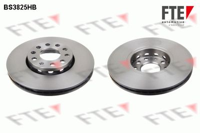 Bremžu diski FTE 9082539