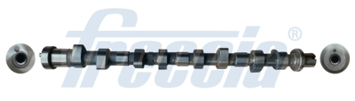 Sadales vārpsta FRECCIA CM05-2390