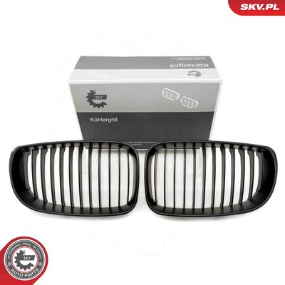 Решетка радиатора ESEN SKV 66SKV008