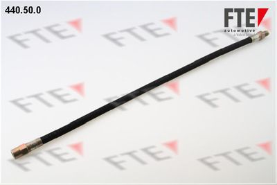 Bremžu šļūtene FTE 9240268