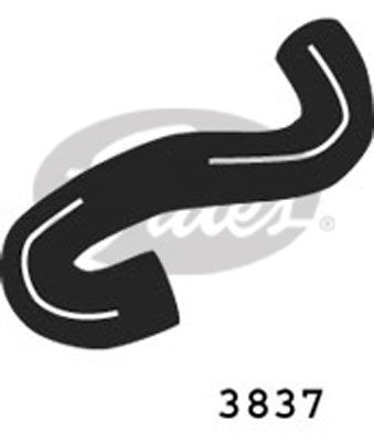 Radiatora cauruļvads GATES 3837