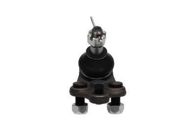 Шарнир независимой подвески / поворотного рычага KAVO PARTS SBJ-9007