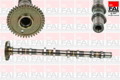 Распредвал FAI AUTOPARTS C382