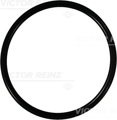 Blīvgredzens VICTOR REINZ 40-76125-00