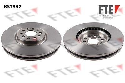 Тормозной диск FTE 9071188