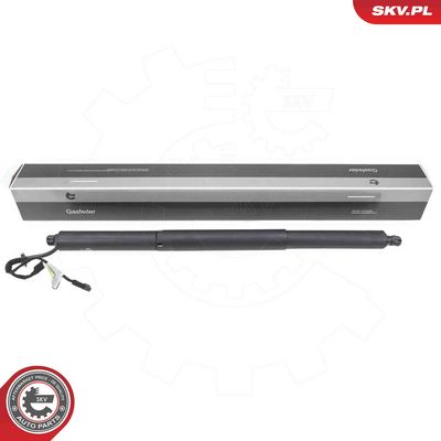 Электромотор, задняя дверь ESEN SKV 52SKV973