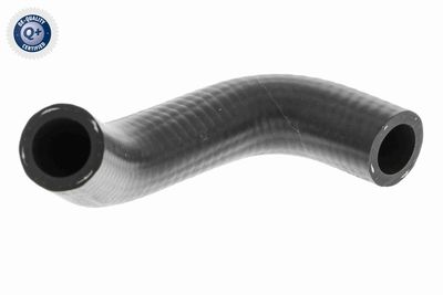 Radiatora cauruļvads VAICO V10-9884