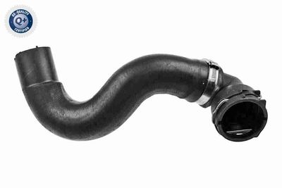 Шланг радиатора VAICO V24-1168