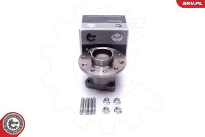 Комплект подшипника ступицы колеса ESEN SKV 29SKV549