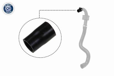 Трубка нагнетаемого воздуха VAICO V460827