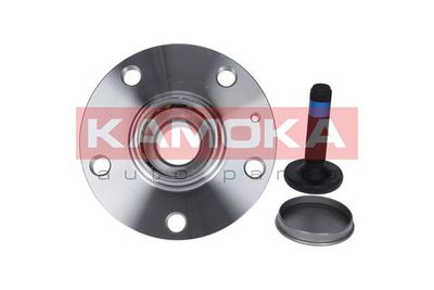 Комплект подшипника ступицы колеса KAMOKA 5500119