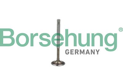 Выпускной клапан BORSEHUNG B19009