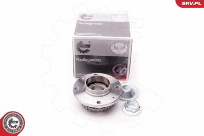 Комплект подшипника ступицы колеса ESEN SKV 29SKV025
